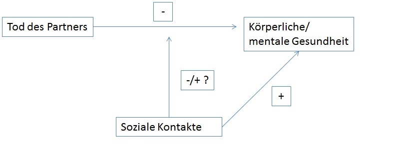 modell.jpg