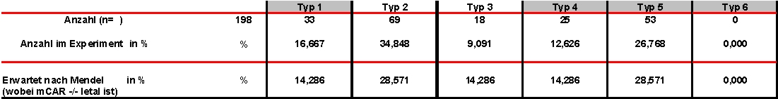 Grafik1.jpg